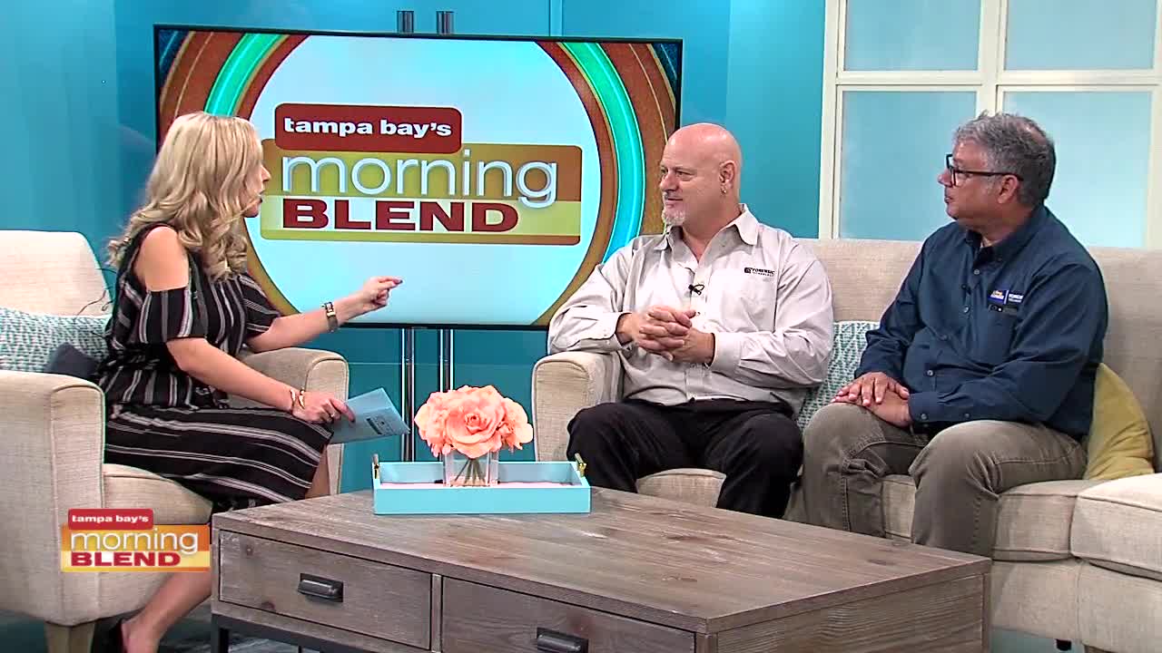 Warehouse of Horrors | Morning Blend