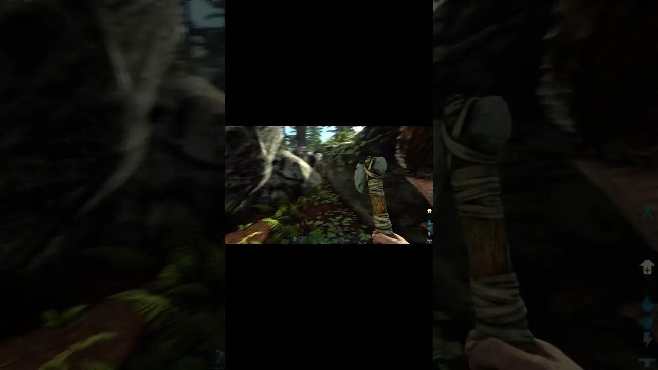 Ark Survival Evolved Terror Birds #ark #arksurvivalevolved #gaming