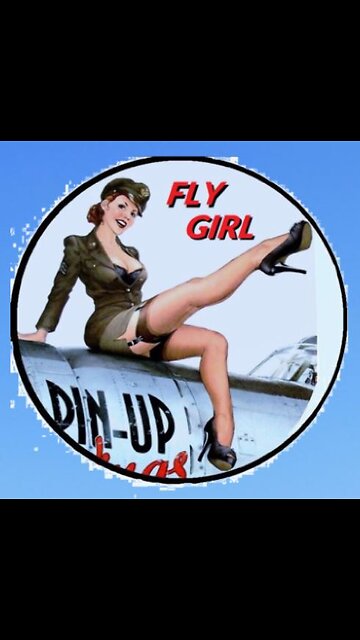 Angrif i16 Gun Camera