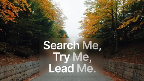 Search Me, Try Me, Lead Me - Joe Focht