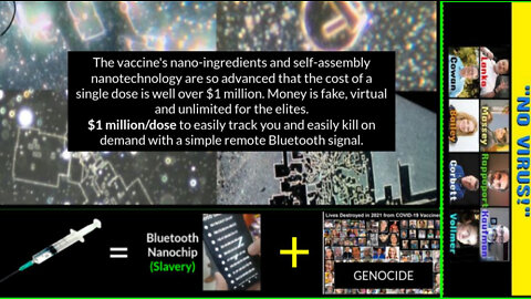 NANOCHIP in vaccine