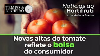 Nova alta do tomate reflete no bolso do consumidor