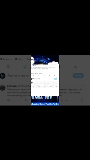 Gold mine in Niger why international community cares