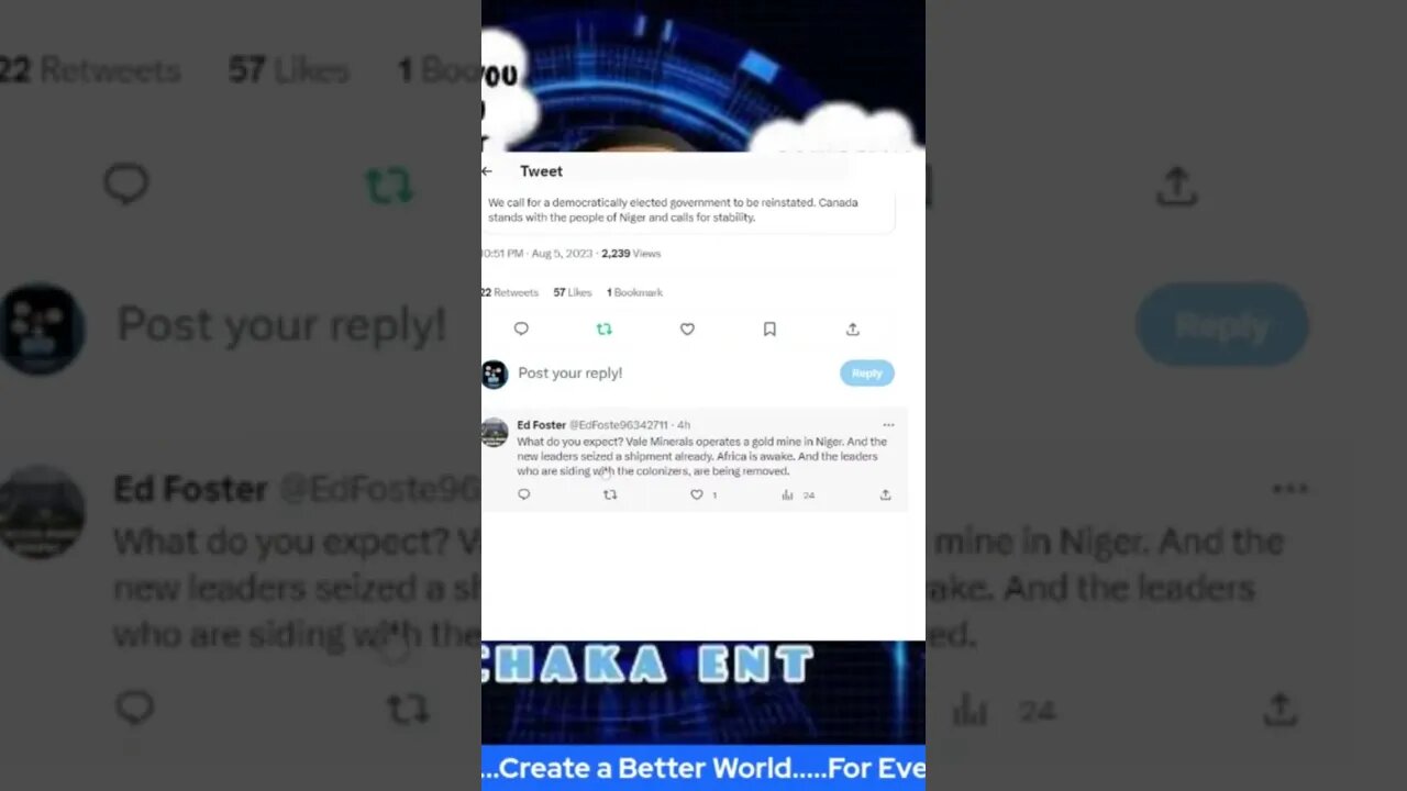 Gold mine in Niger why international community cares