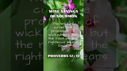 Wise Sayings of Solomon | Proverbs 12:12