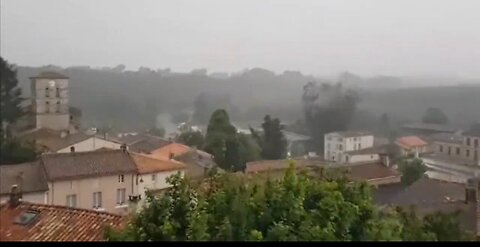 DEW = Direct Energy Weapon on a massive tree 🌳 in France 🇫🇷