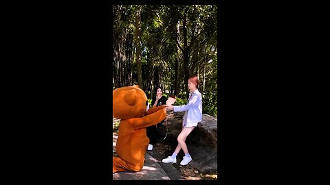 purpose teddy 🧸 Bear