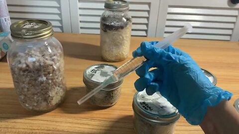 🍄 Blenderless Liquid Inoculant to Syringe? Does it Work? 🍄