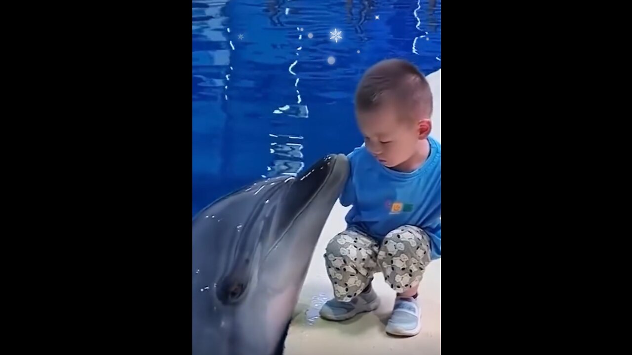 Best Pals: Kid and Dolphin! 🐬👦