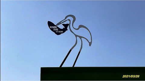 21_0326Little egret Fishing