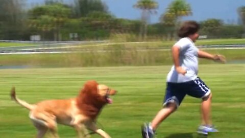 New Funny Pranks Videos Try not To Laugh or Grin