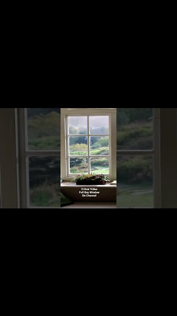 Heavy Rain & Downpour Seen From Inside By A Comfortable Bay Window to Help You Unwind and Relax.