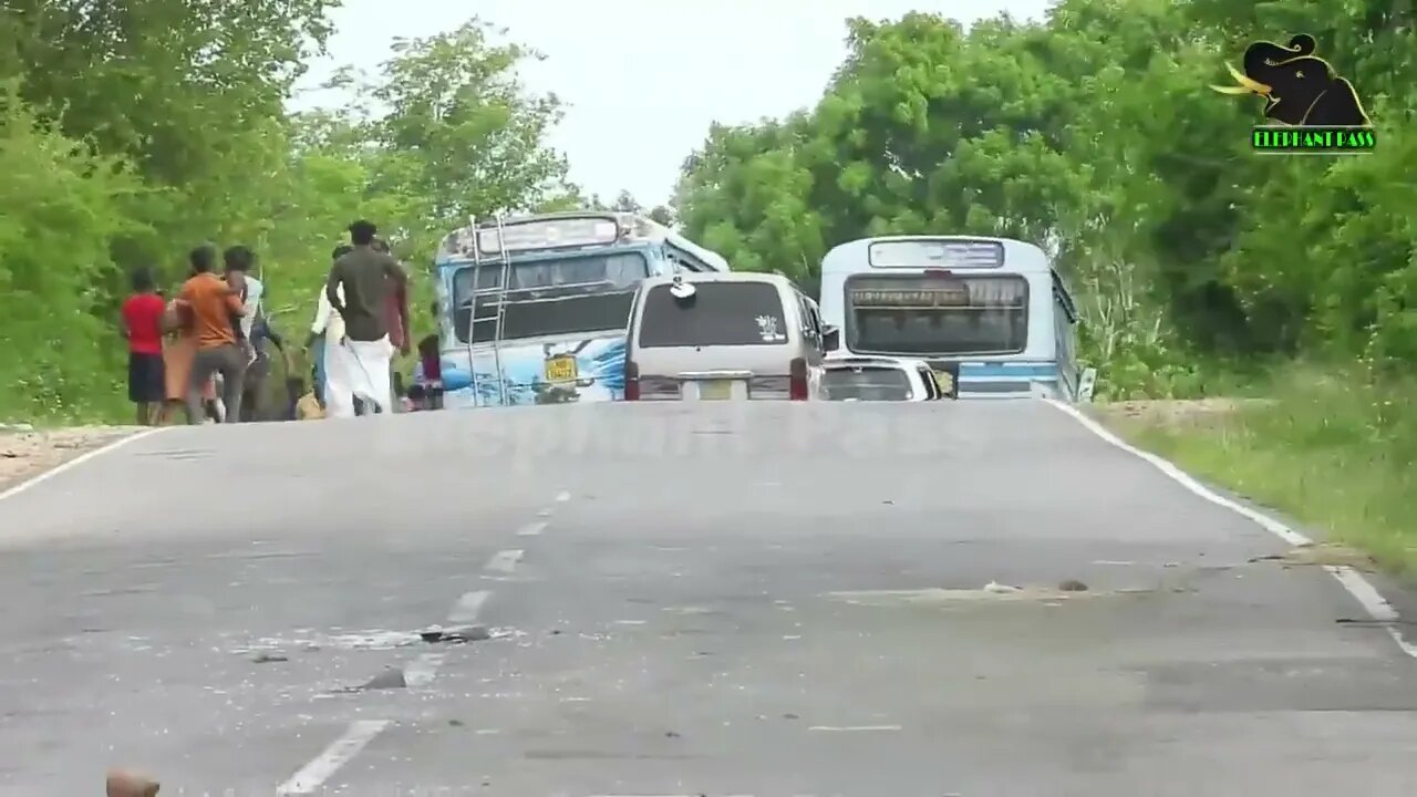 A severe elephant attack on a bus People fall down in fear 28