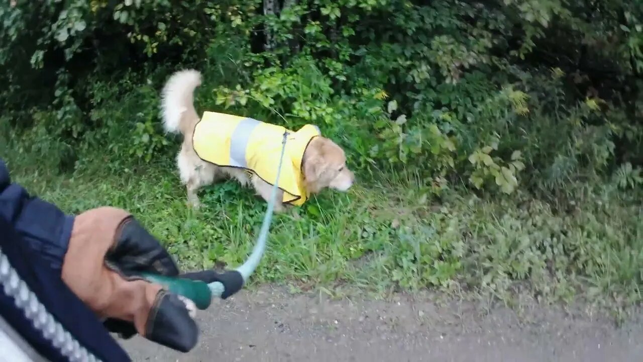 August 19th, 65 degrees and raining