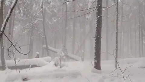 One % man's % survival % in % the wild Blizzard outdoor learning these days are good