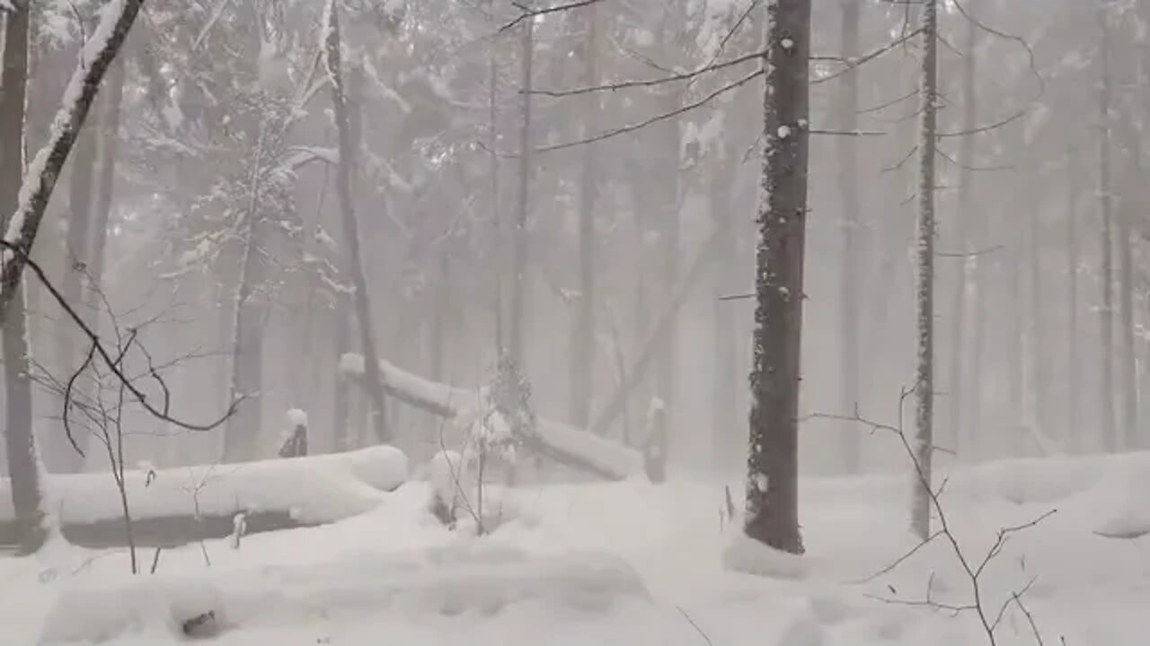 One % man's % survival % in % the wild Blizzard outdoor learning these days are good