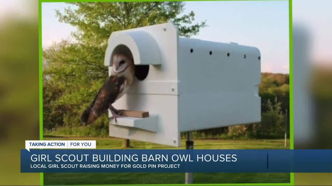 Oxford police helping local Girl Scout raise money to build barn owl houses