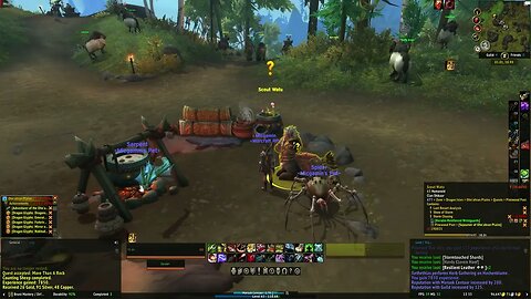 World of Warcraft Dragonflight More Than a Rock