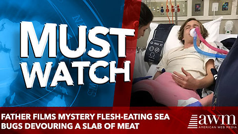 Father films mystery flesh-eating sea bugs devouring a slab of meat