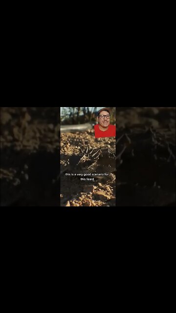 Some animals use there bodies as defense