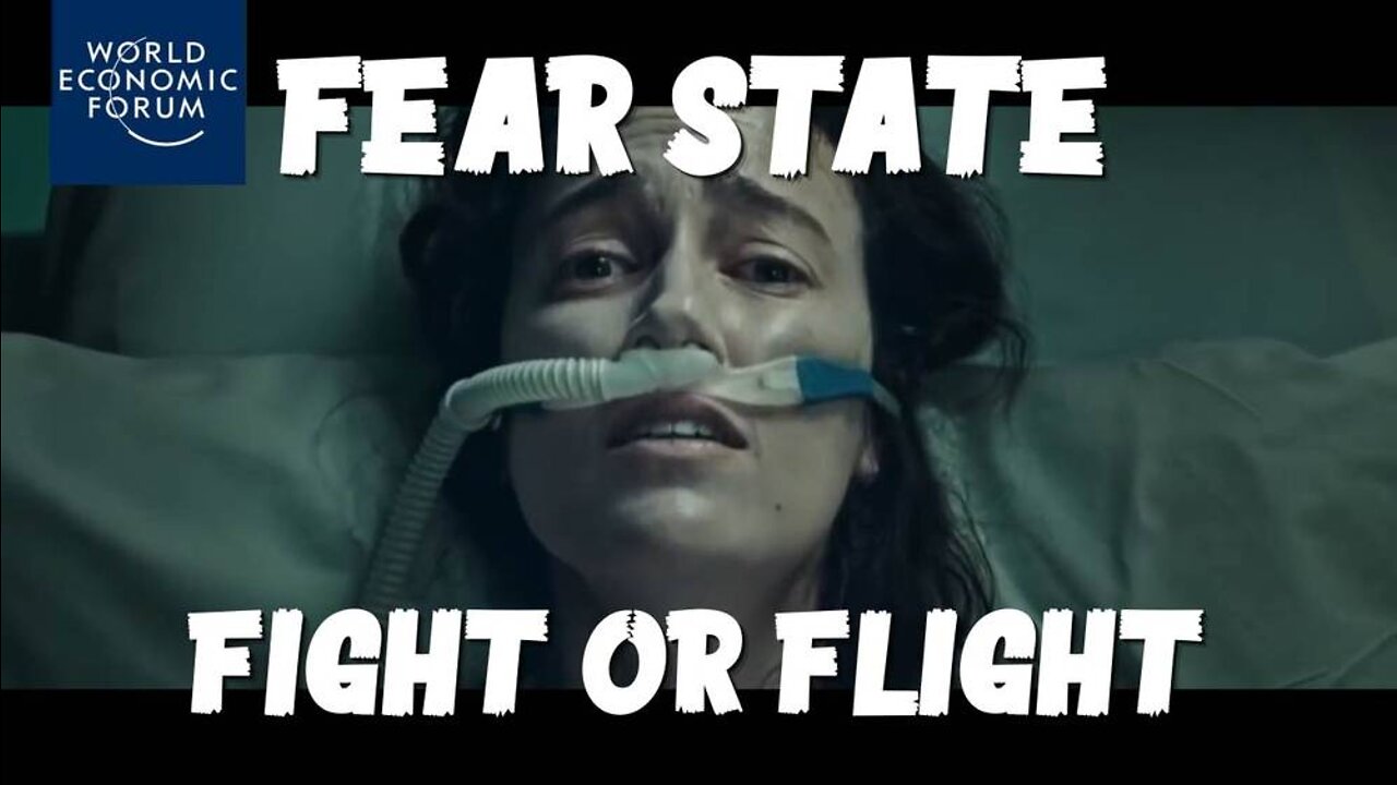 Alex Stein: Fear State: Fight or Flight! - 9/12/22
