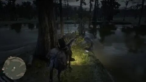 Red Dead Redemption 2: Bluewater Marsh Treasure Map