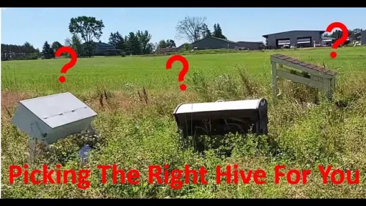 The Biggest Mistake New Beekeepers Make: Picking The Wrong Hive