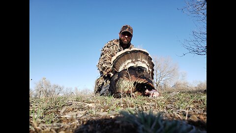 EPIC turkey hunt, 50 birds!!!