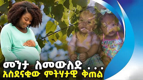 መንታ ለመውለድ . . . አስደናቂው ምትሃታዊ ቅጠል | Twins Capital | Nigeria | Africa | Biology