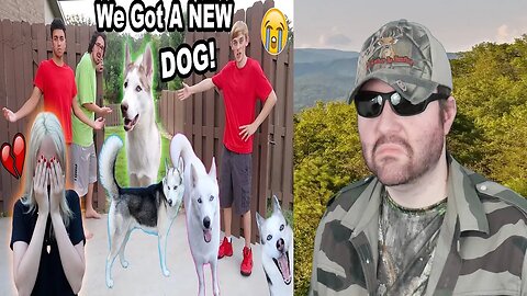 My Dogs Ran Away!! (I Cried) (Prank) (Chilly) - Reaction! (BBT)