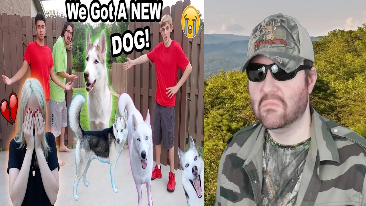My Dogs Ran Away!! (I Cried) (Prank) (Chilly) - Reaction! (BBT)
