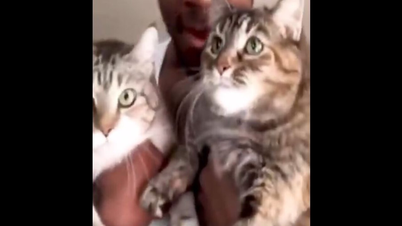 Best of these amazing funny