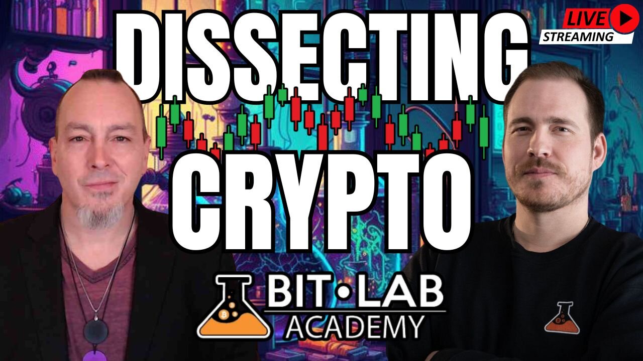 Dissecting The Crypto Crash In The BitLab w Kelly Kellam