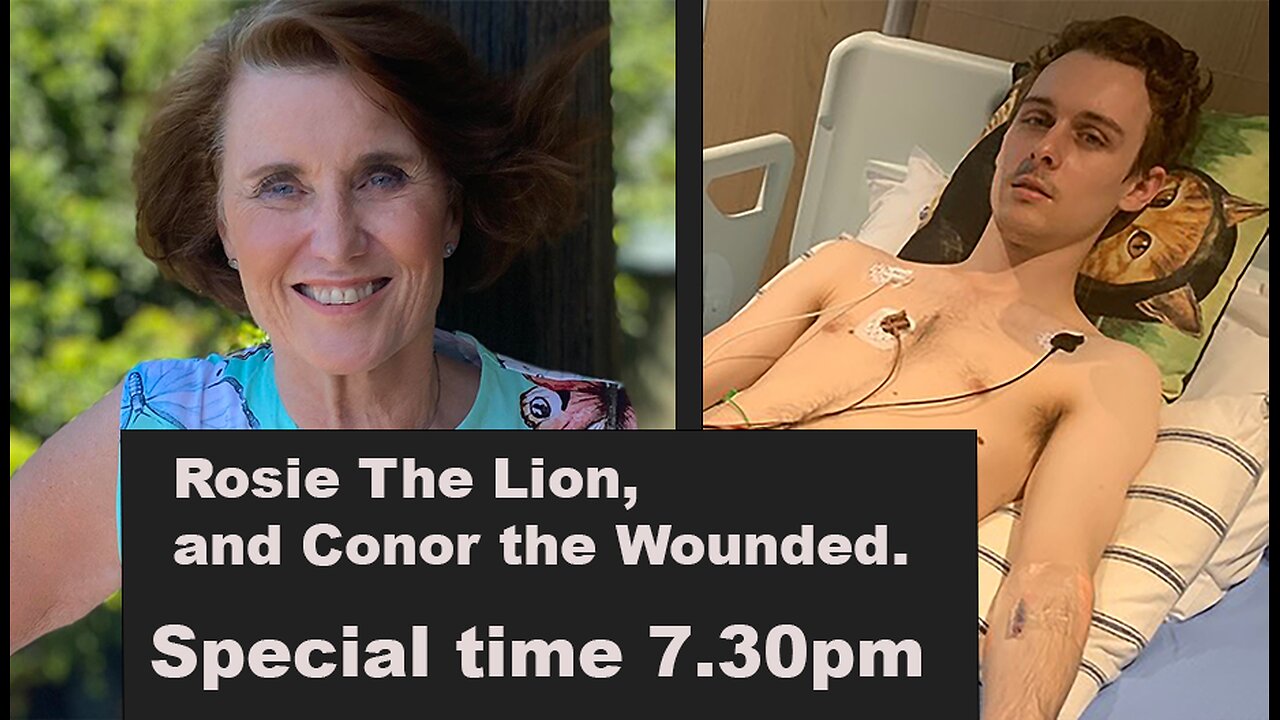 Rosie The Lion, and Connor the Wounded.