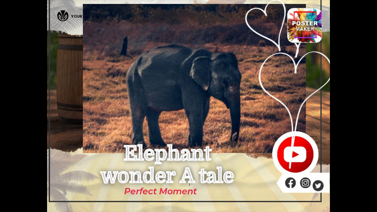 Elephant Wonders: A Majestic Tale of Memory, Societies, and Trunk-Tastic Marvels