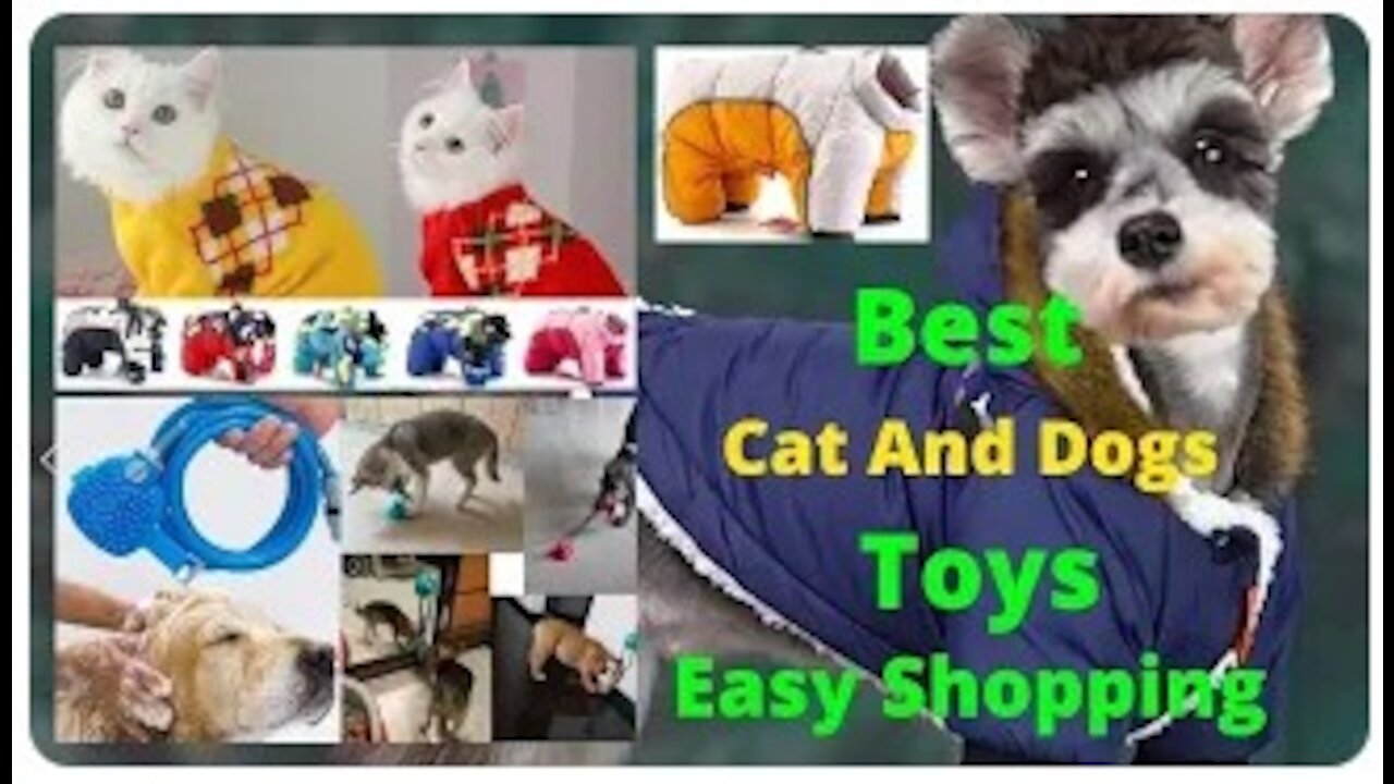 Best Cat And Dogs Winter Clothes! Winter Pet Dog Super Warm Jacket!