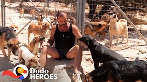 Man Gives Every Dog He Saves The Best Life