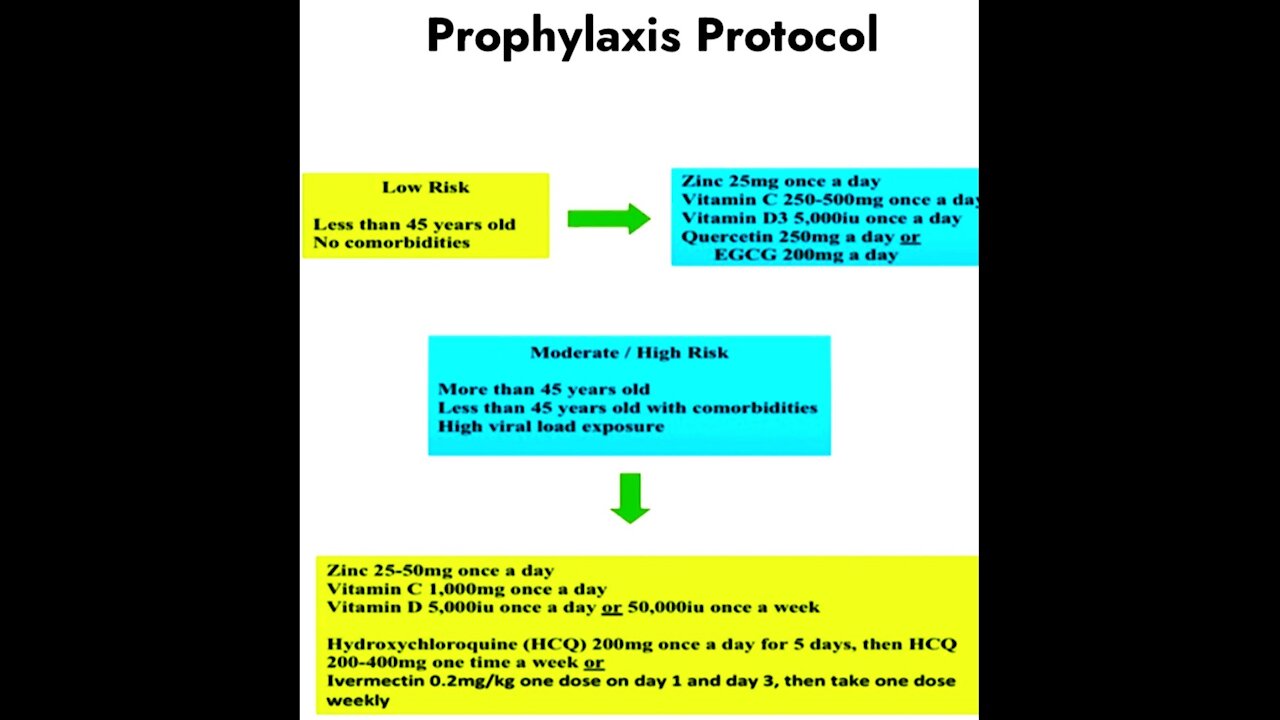 Dr. Zev Zelenko - How To Use Ivermectin & Hydroxychloroquine To Treat COVID