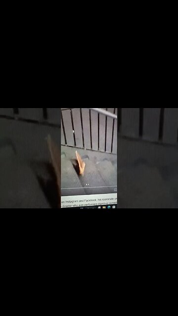 PIZZA RAT SIDE HUSTLE TO BUY A HOME 😂