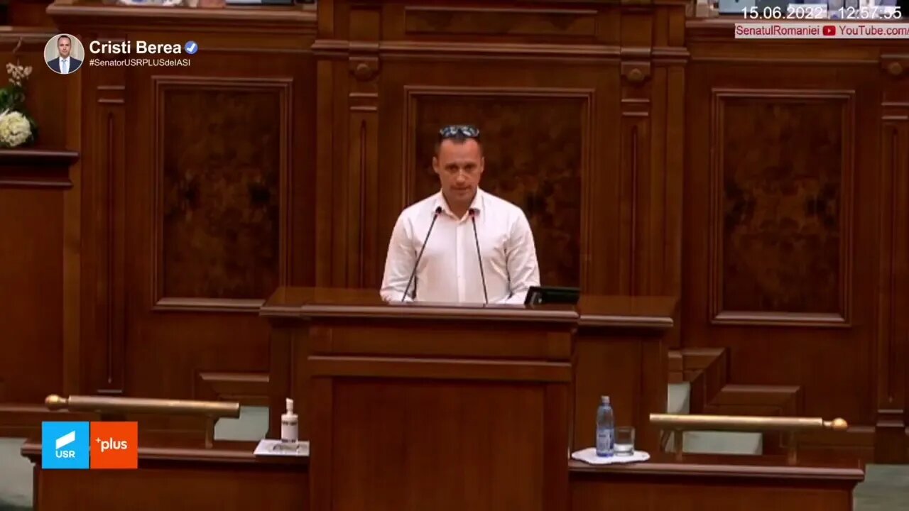 Diana Sosoaca, ai cuvantul