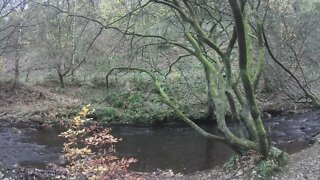 Walk along the river Colne and Huddersfield narrow cannel