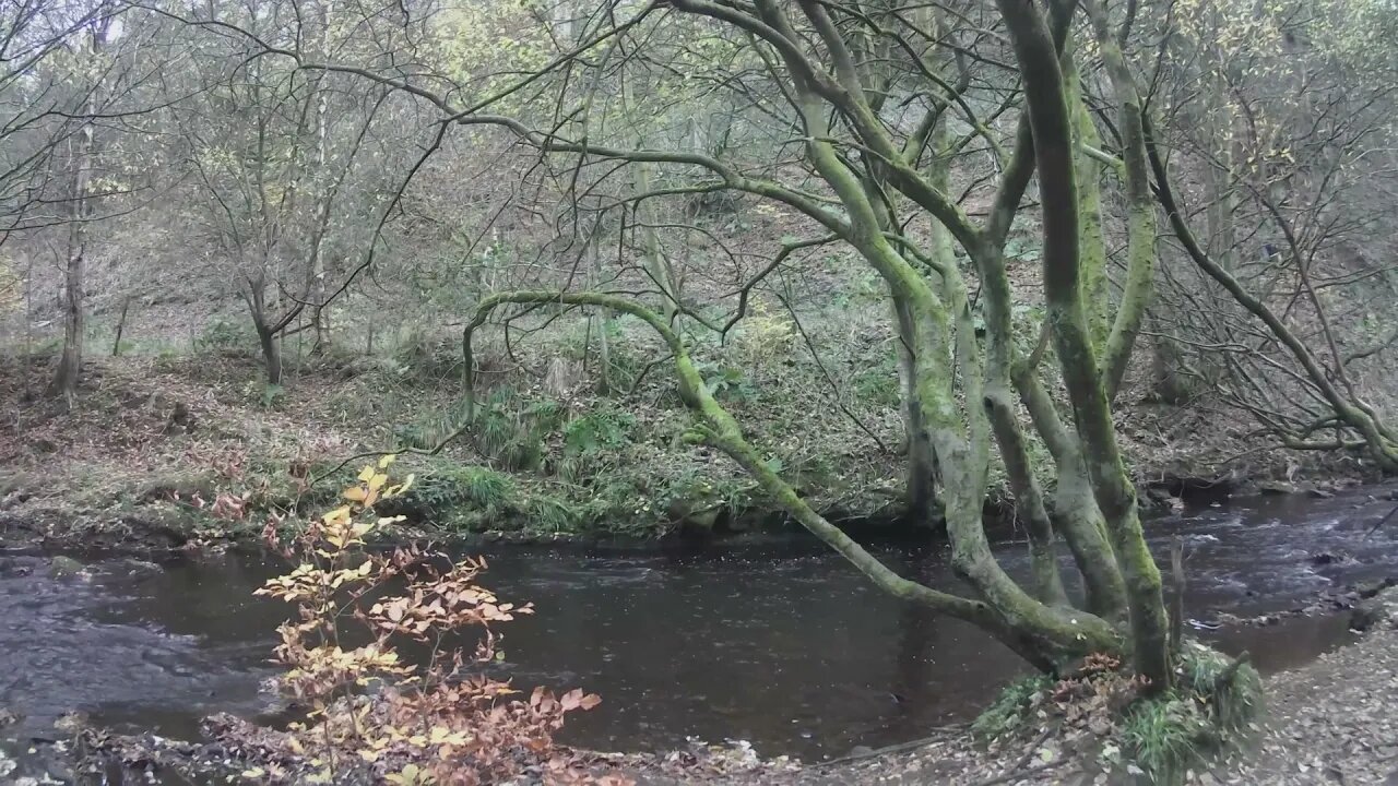 Walk along the river Colne and Huddersfield narrow cannel