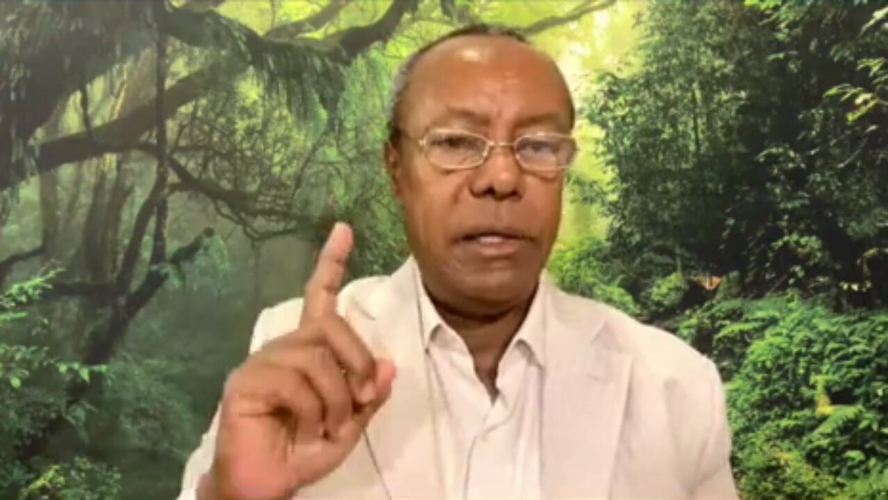 ጦርነቱ በኦሮሞ ጁንታ እና በትግራይ ጁንታ ግድየለሽነት የተፈጠረ ጦርነት ነው ፤ የአማራውን በደል የምታስረሱ ምሁር ነን ባዮች እረፉ - አያሌው መንገሻ