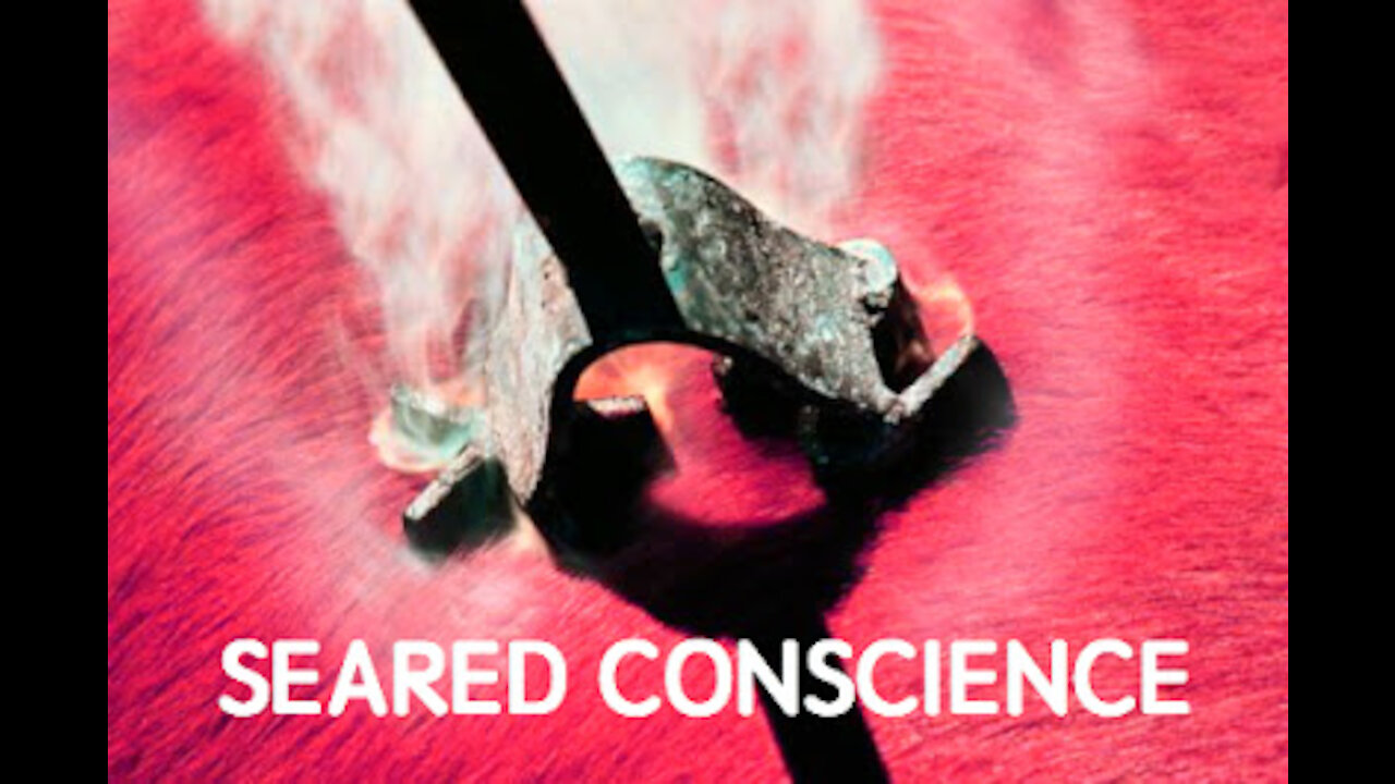 What is a Seared Conscience?