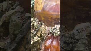 Amber Cove!