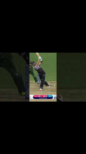 #cricket