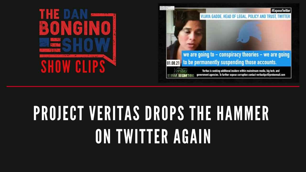 Project Veritas drops the hammer on Twitter again - Dan Bongino Show Clips