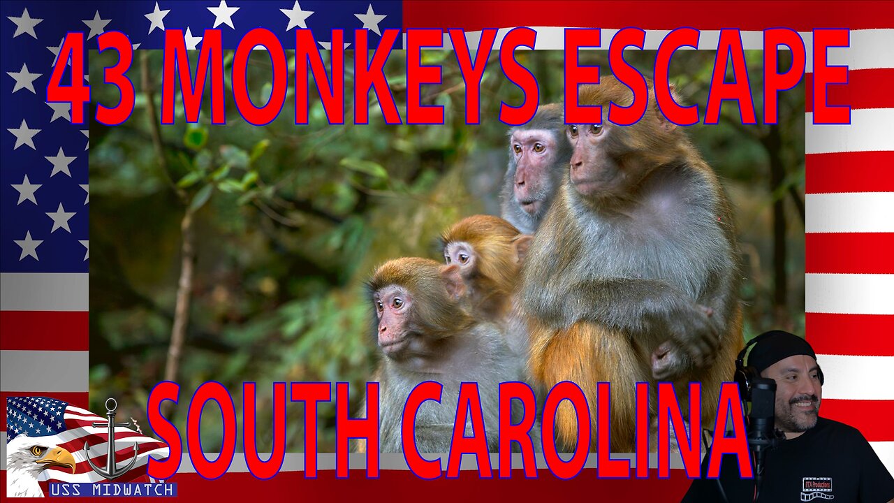 43 Monkeys Escape in South Carolina : USS MIDWATCH