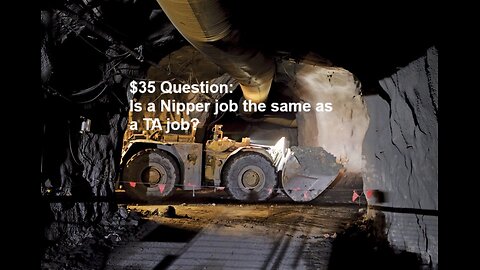 $35 Question Is a Nipper job the same as a TA job