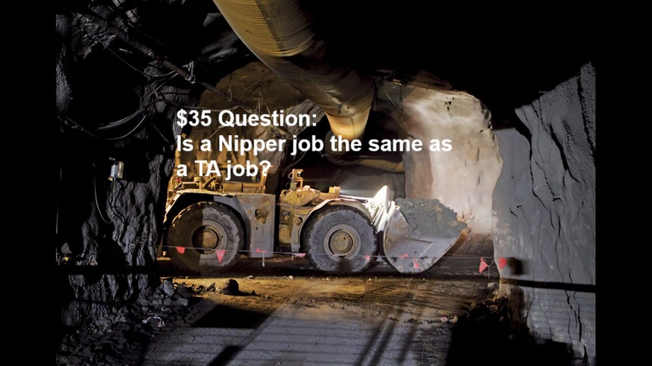 $35 Question Is a Nipper job the same as a TA job